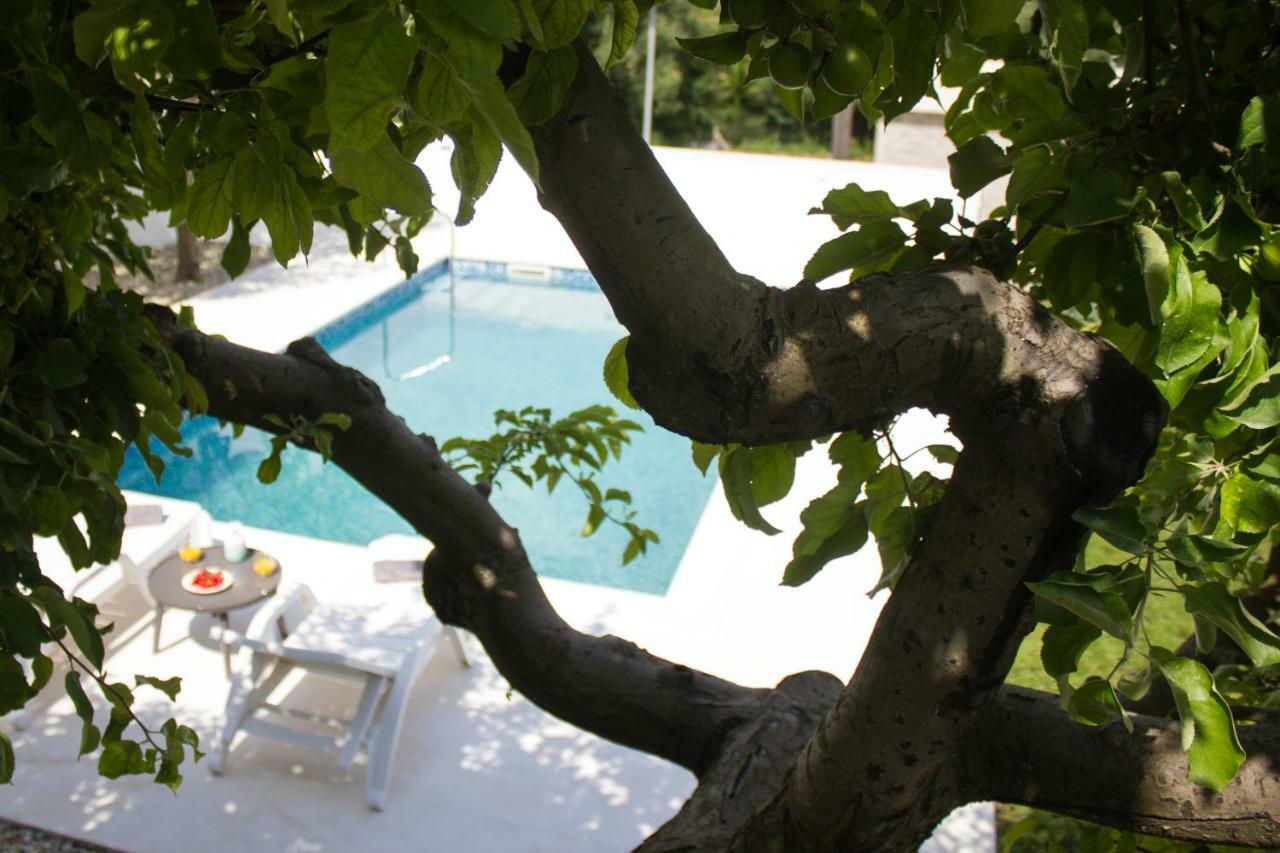 Villa Fig Zmijavci المظهر الخارجي الصورة