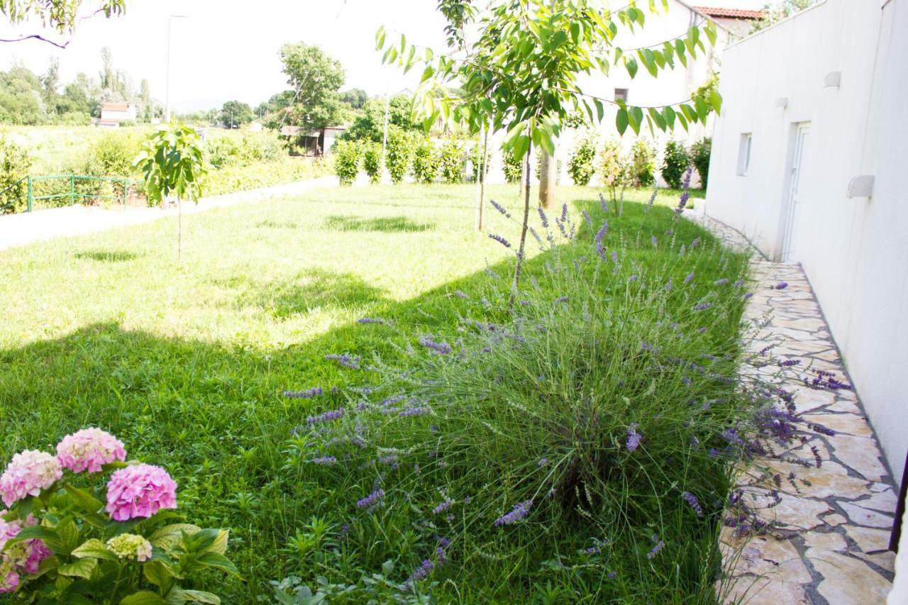 Villa Fig Zmijavci المظهر الخارجي الصورة